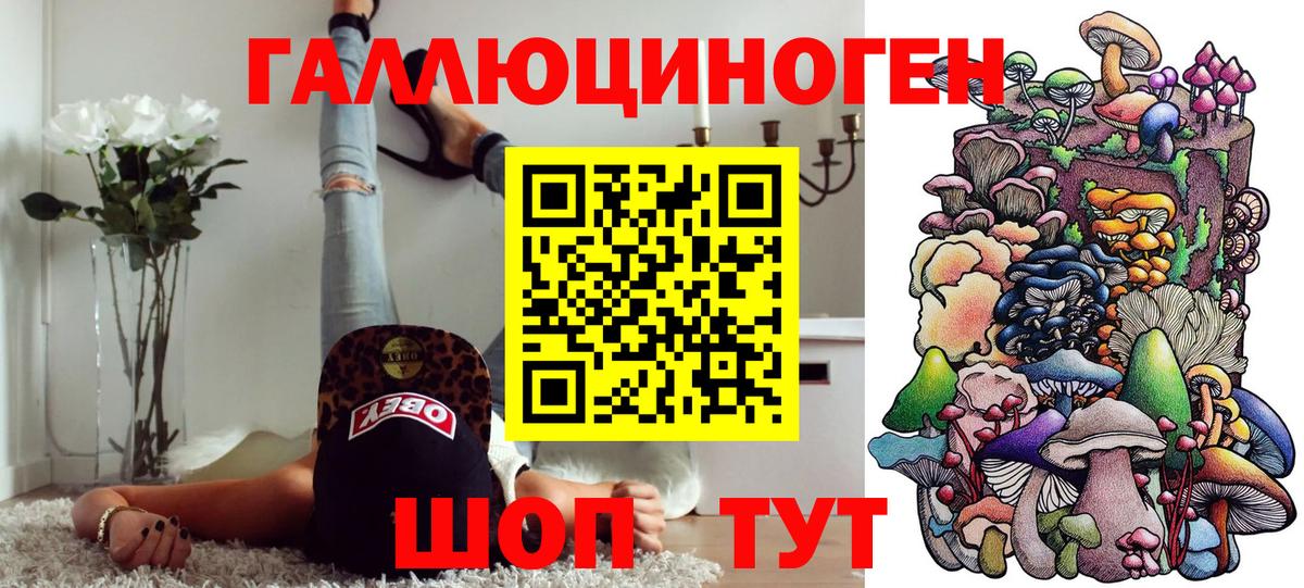 Псилоцибиновые грибы Cubensis  Вход с VPN  Зеленодольск 